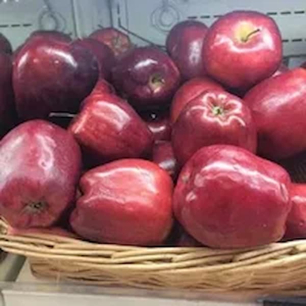 تصویر 4 از خرید و قیمت سیب قرمز گرنی اسمیت + فروش عمده